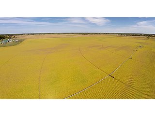 Property photo 16 - REAL ESTATE AUCTION - 230+/- ACRES IN 2 TRACTS IN STARKE COUNTY